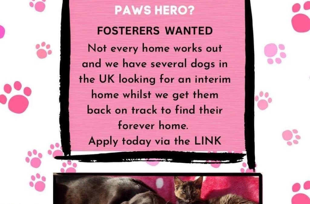 Could you be a Healing Paws Hero?