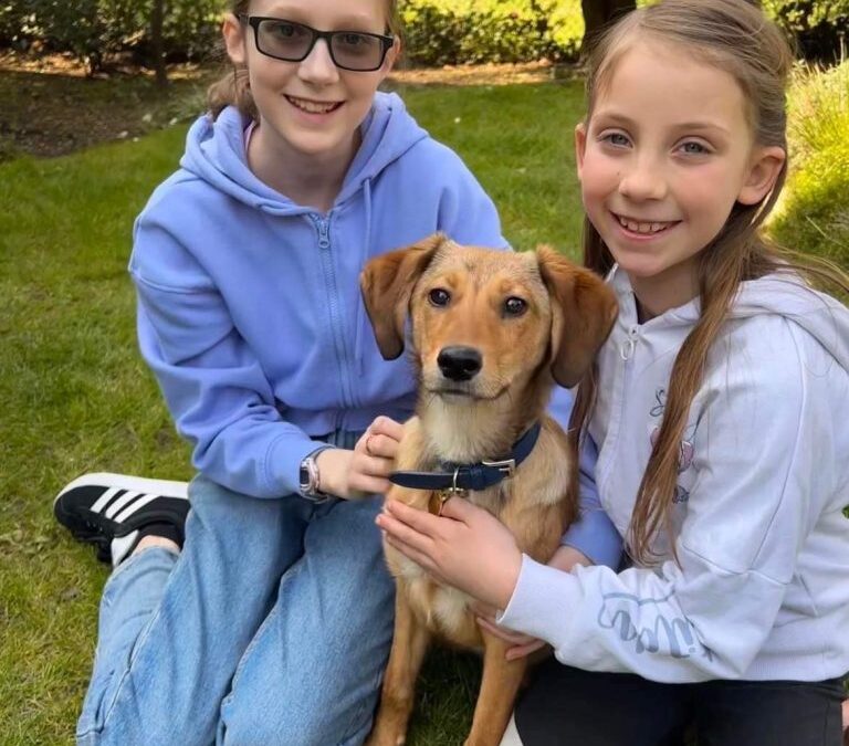 Feedback from a Healing Paws adopter